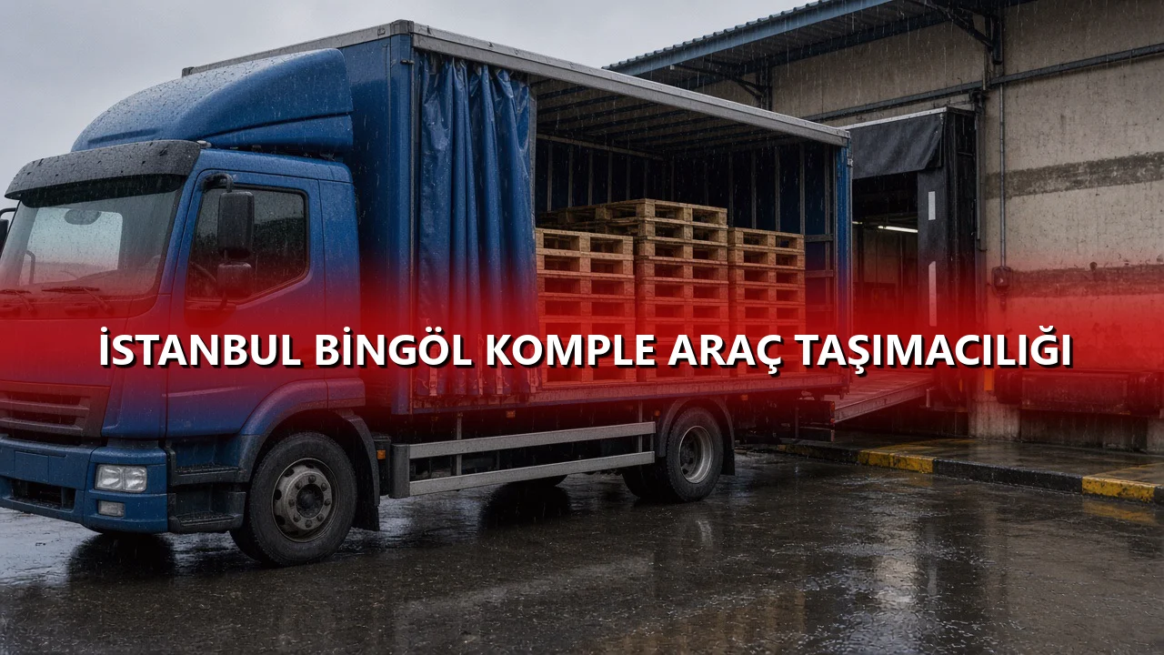 İstanbul Bingöl Komple Araç Taşımacılığı